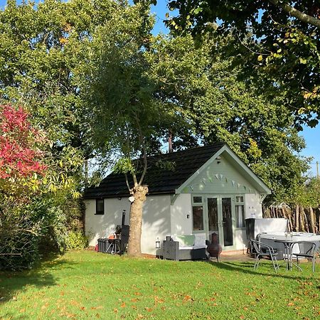 Pheasant Lodge Wimborne Minster Exterior foto